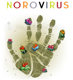 норовирус